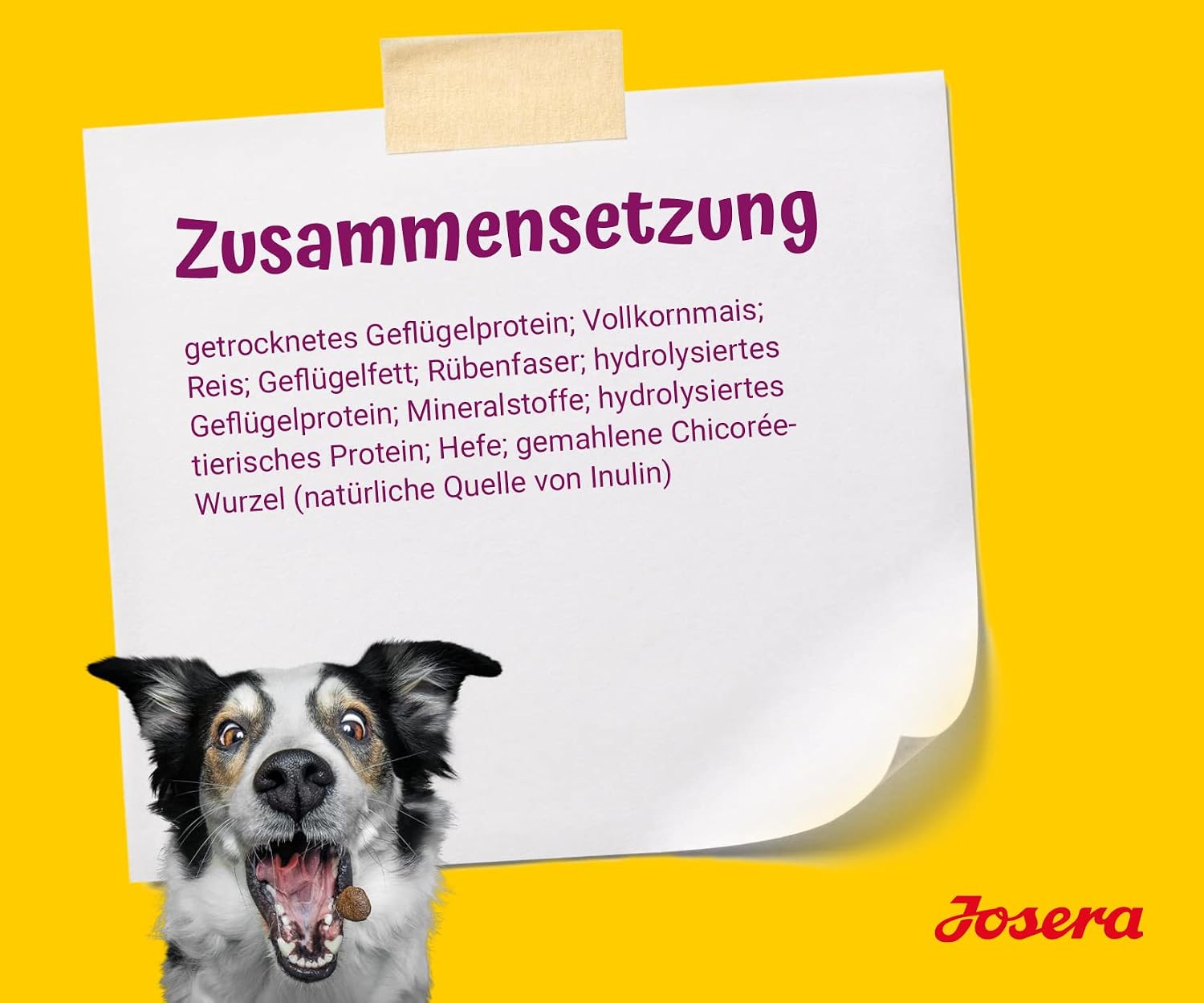 Trockenfutter fuer kleine Hunde verschiedene Sorten kleine Kroketten