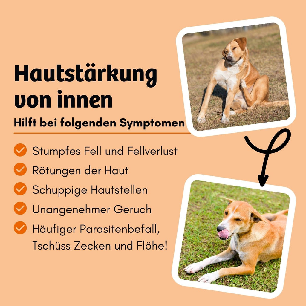 BugBell Trockenfutter Insektenprotein mit Schwarzkuemmeloel Kokosoel Zistrosen