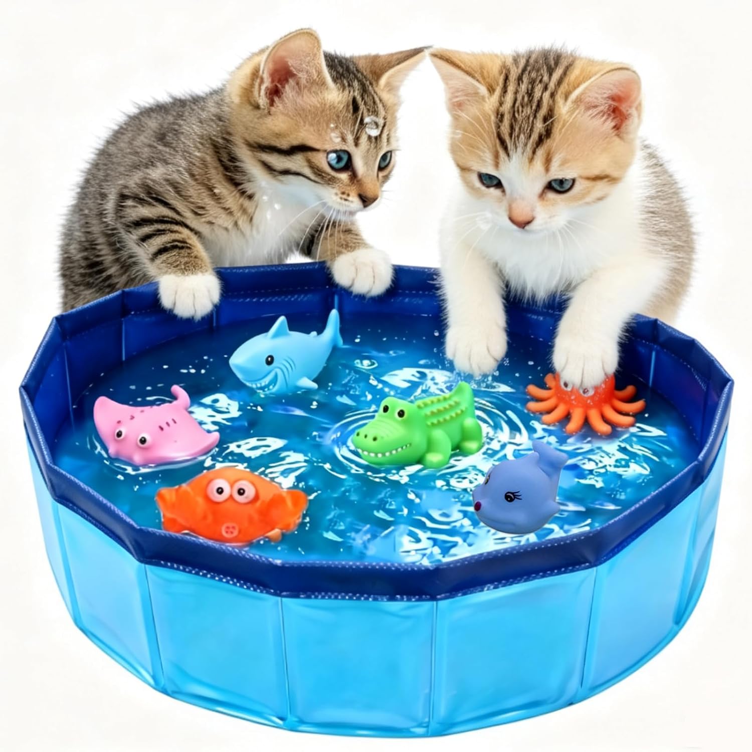 Faltbarer Katzenpool 50×10 cm mit 6 Schwimmspielzeugen, tragbar fuer Hunde