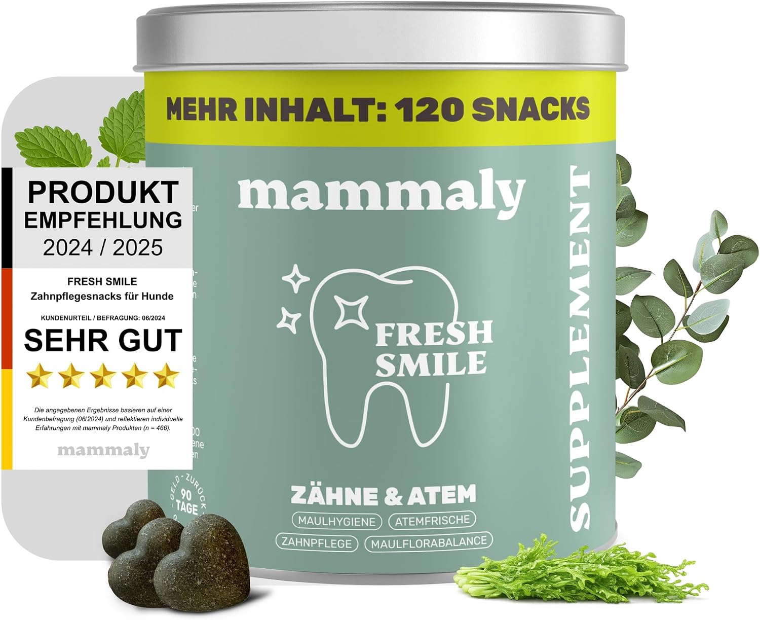mammaly Fresh Smile Hundezahnpflege Leckerli 10-in-1 verschiedene Sort