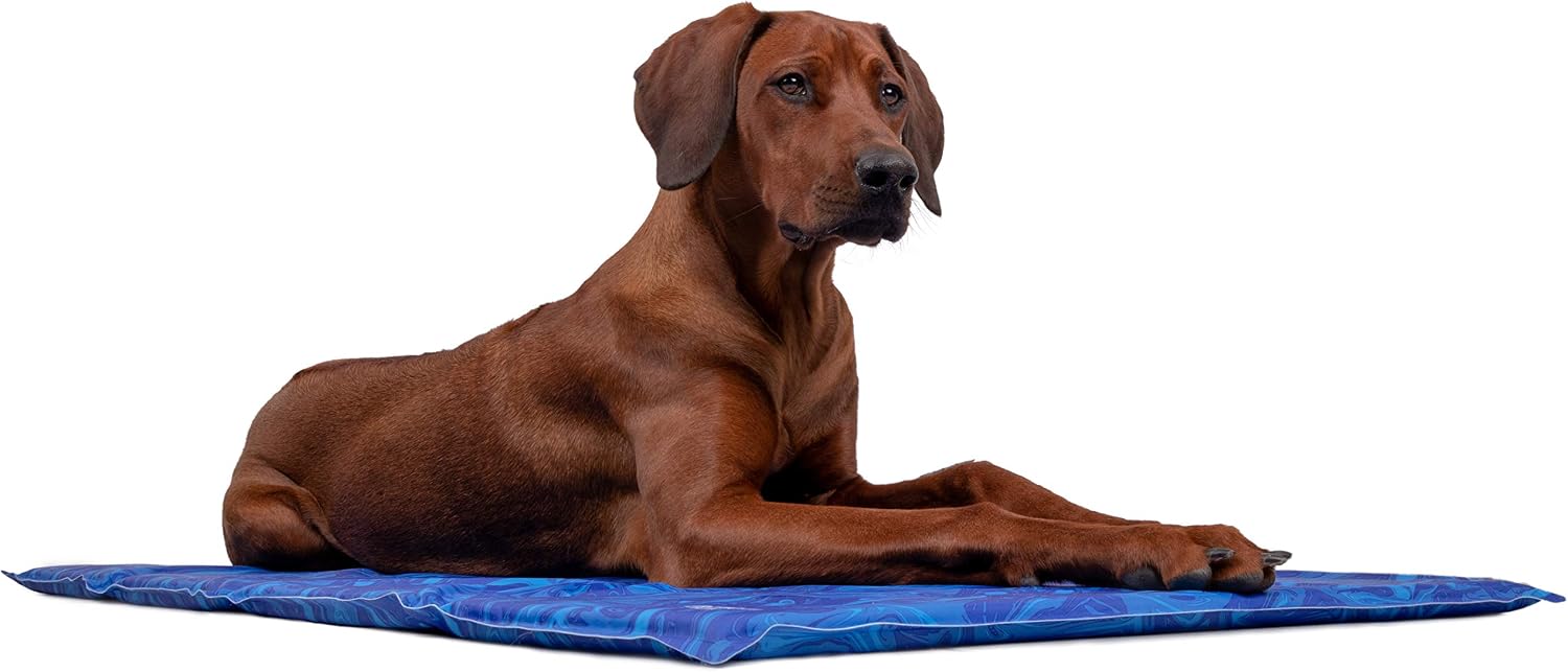 TrendPet Arctic Comfort Kuehlmatte Hund 60x45 cm 20 mm extra dick selbstkuehlend