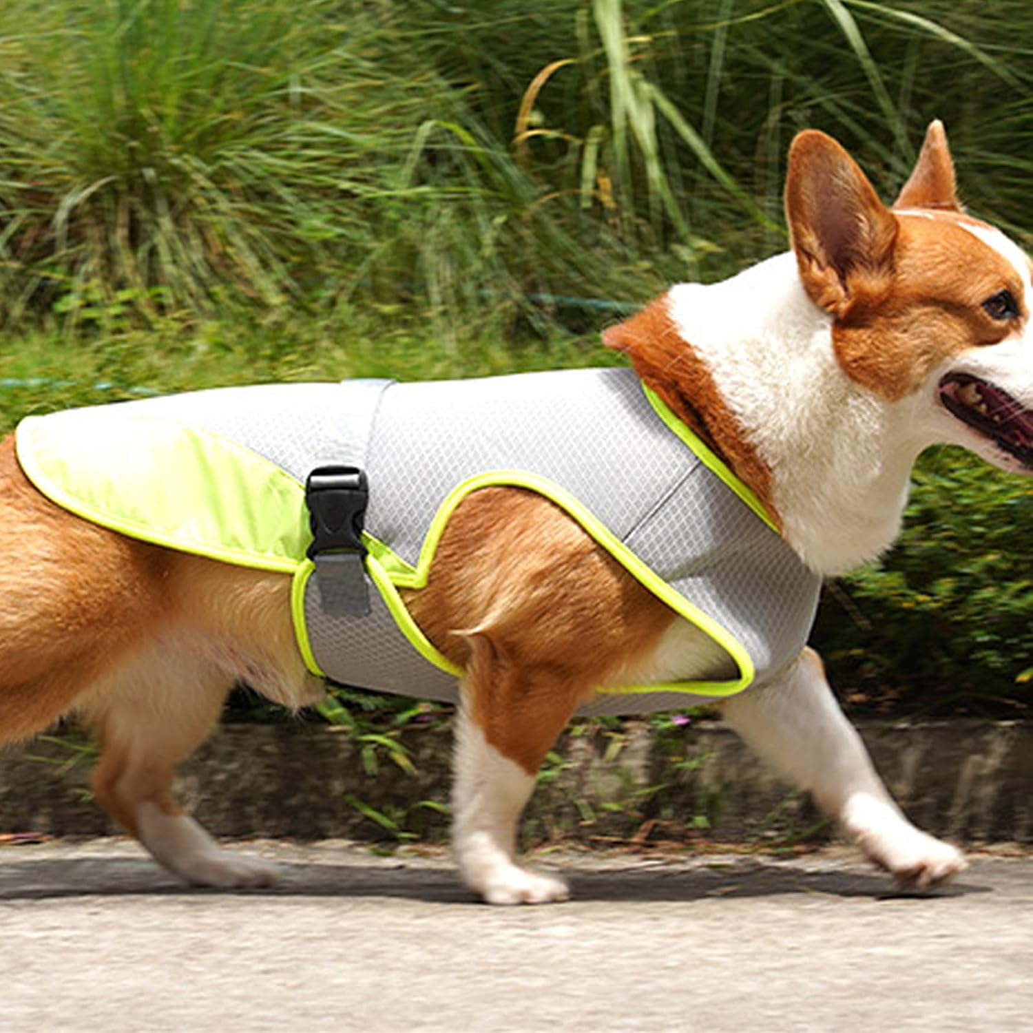 TYXHXTF Hundekuehlweste mit D-Ring Sommer Kuehljacke fuer Hunde Wandern Training