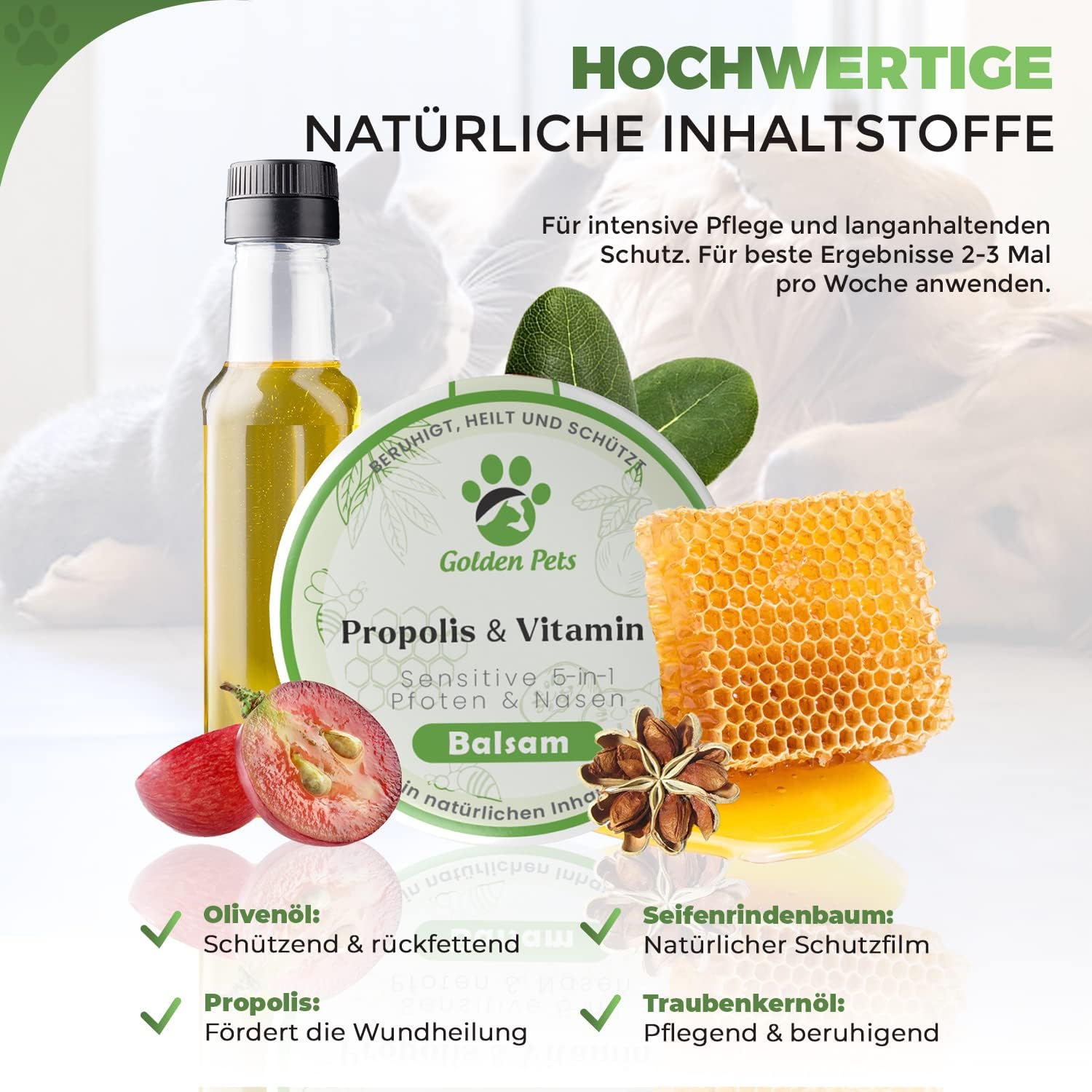 Golden Pets Pfotenbalsam Stick mit Propolis und Avocado - Nasenschutz