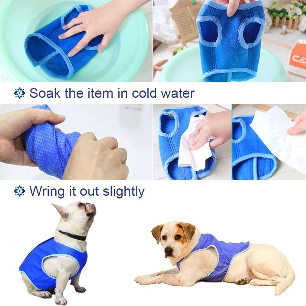 TYXHXTF Kuehlweste Hund M Blau mit Klettverschluss Kuehlmantel Sommer Outdoor