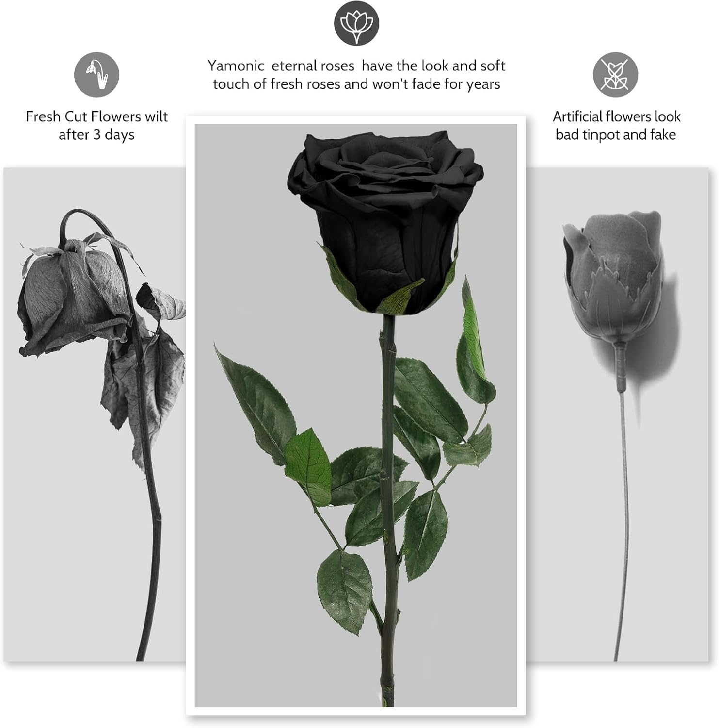 Yamonic Infinity Rose mit Stiel - Ewige Rose Geschenk fuer Frau Valentinstag
