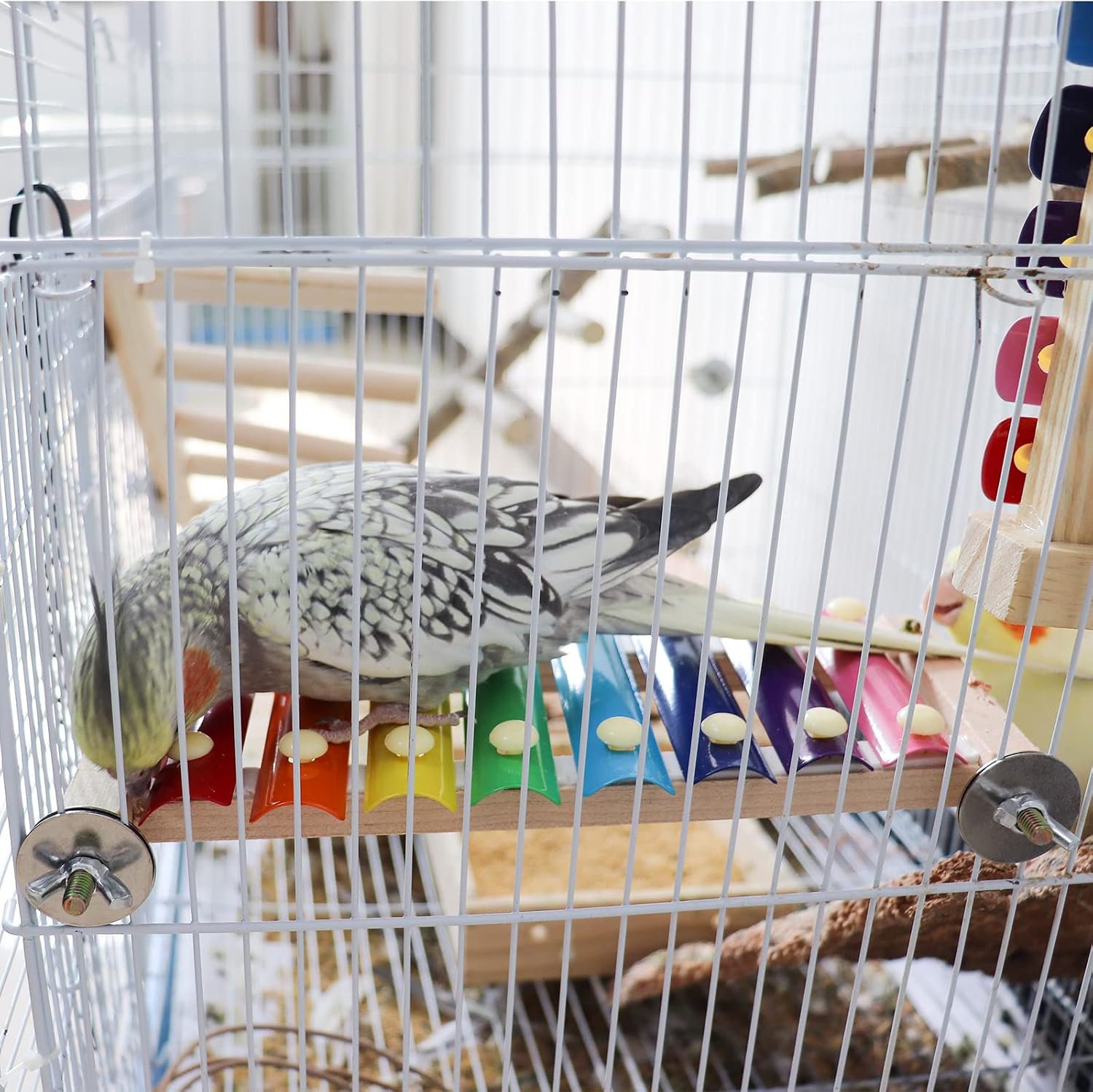 Vogelspielzeug Xylophon hängend für Papagei Wellensittich Käfig Zubehör