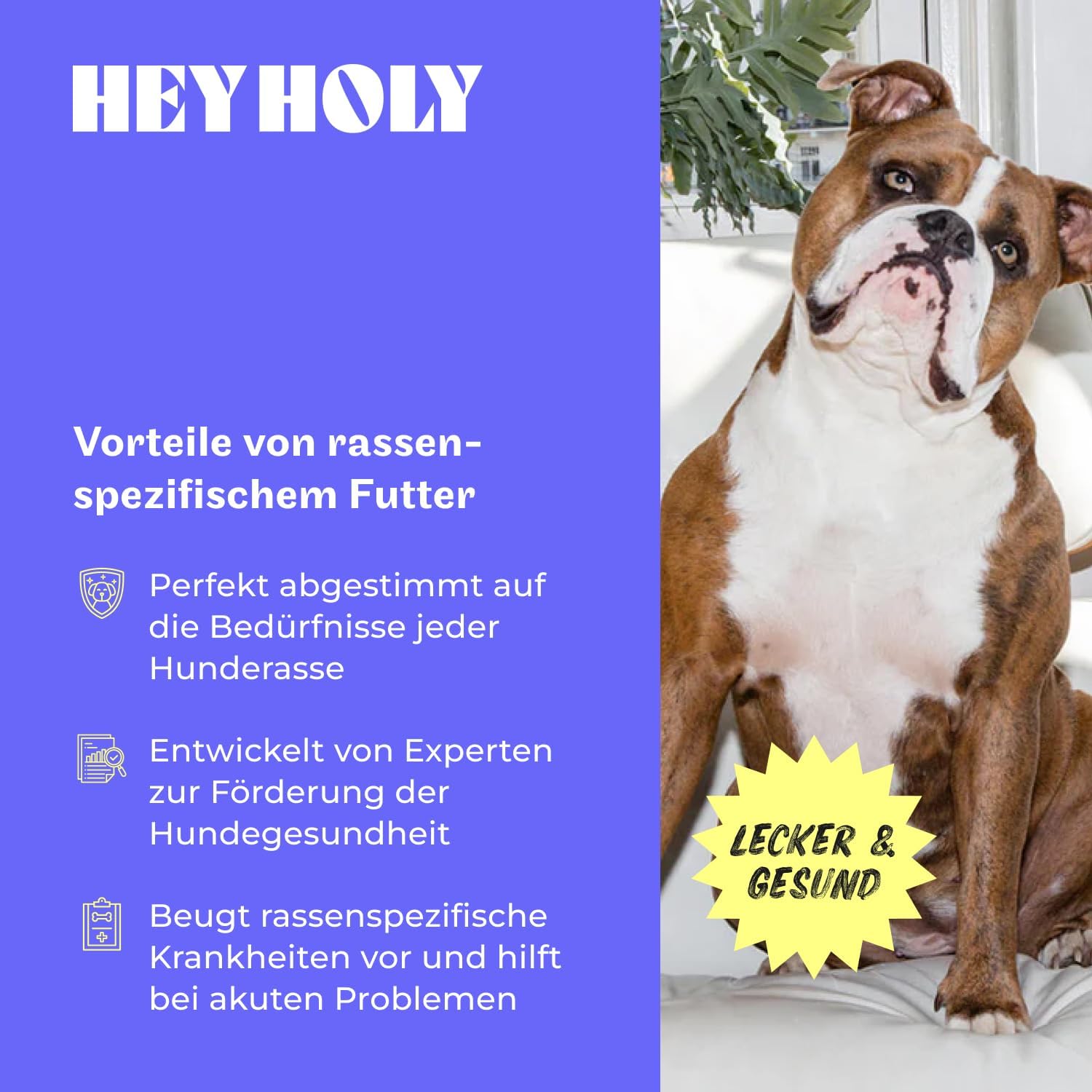 HEY HOLY Nassfutter Bulldogge 6x750g Lachs hochvertraeglich natuerliche Zutaten