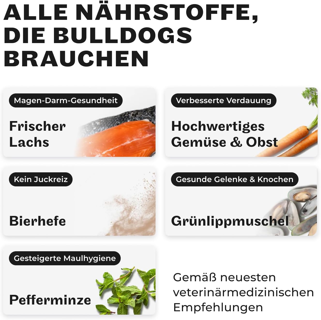 HEY HOLY Nassfutter Bulldogge 6x750g Lachs hochvertraeglich natuerliche Zutaten