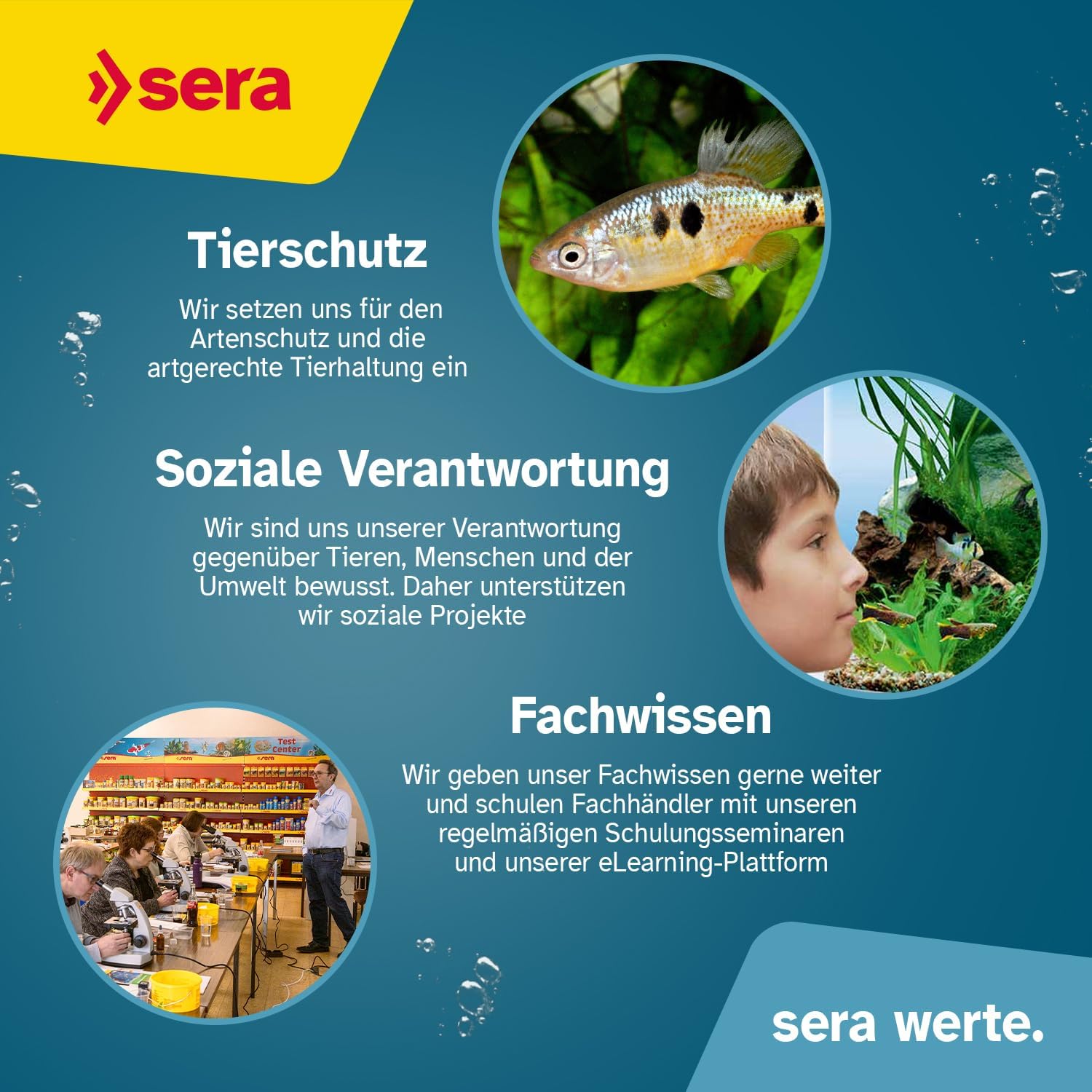 sera Koi Professional Summer Koifutter Ringkernpellets 17°C+