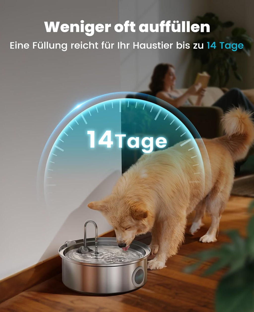 oneisall Trinkbrunnen fuer Hunde Edelstahl mit LED, 5‑Schicht Filter