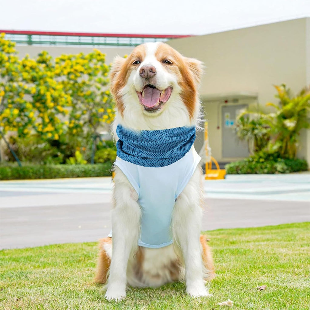 Kuehltuch Kuehlhalsband fuer Hunde selbstkuehlend Groesse: kleine bis mittelgrosse Hund