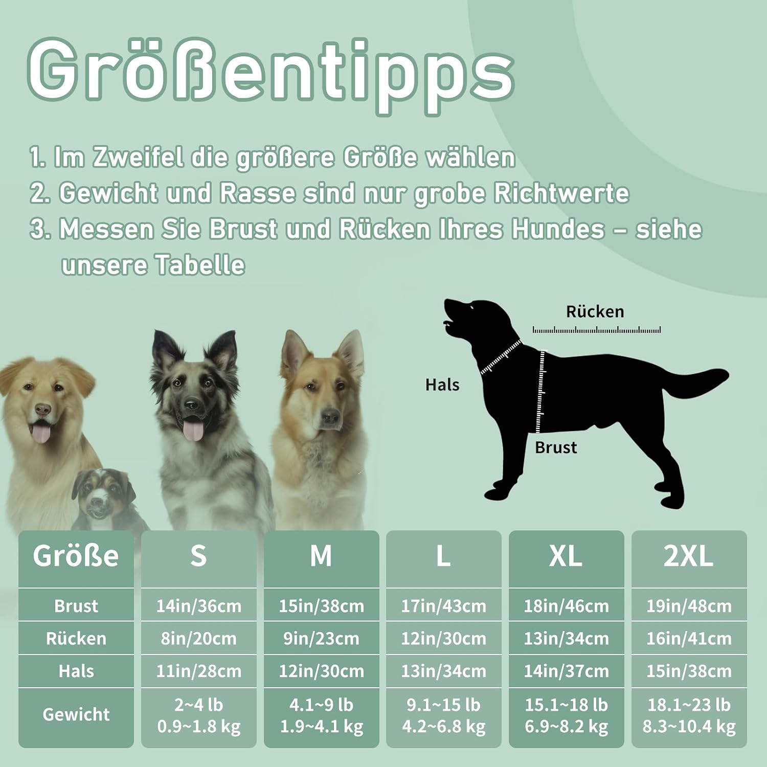 Hundeshirt atmungsaktiv fuer kleine Hunde Dackel Gr. M 2er Pack