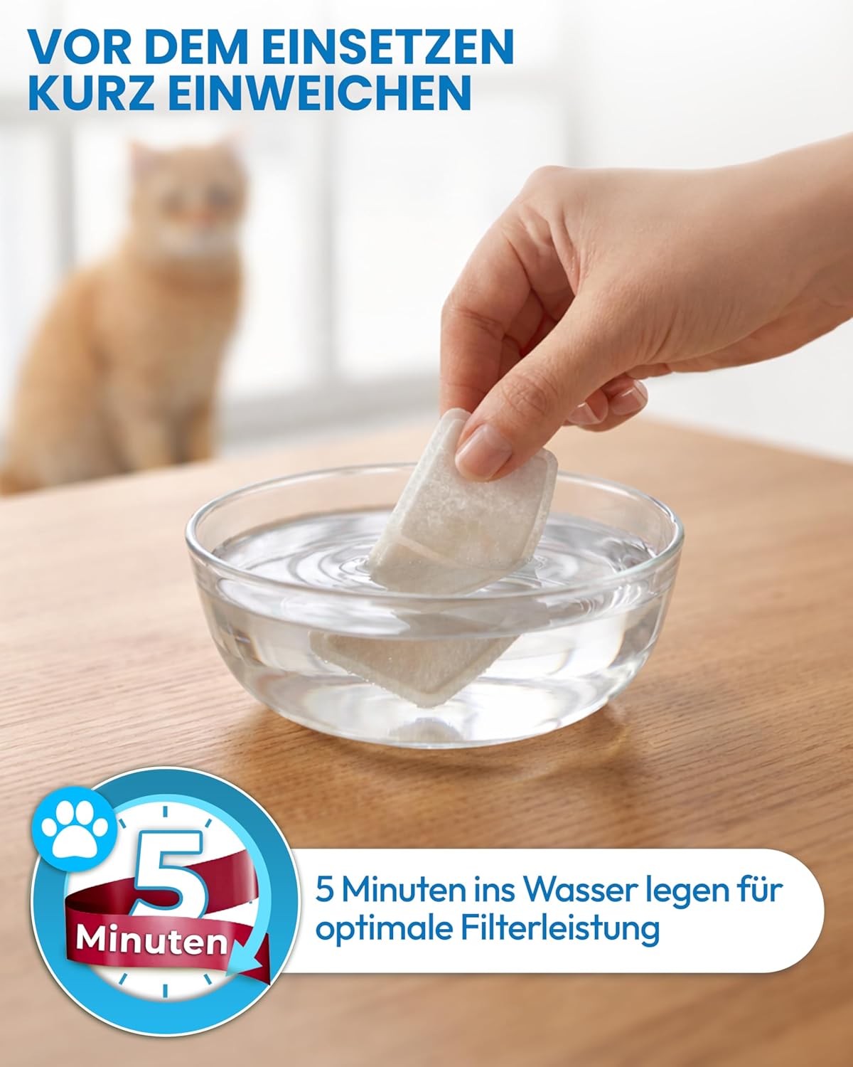 Miaura Katzenbrunnen kabellos leiser Trinkbrunnen mit Bewegungsmelder