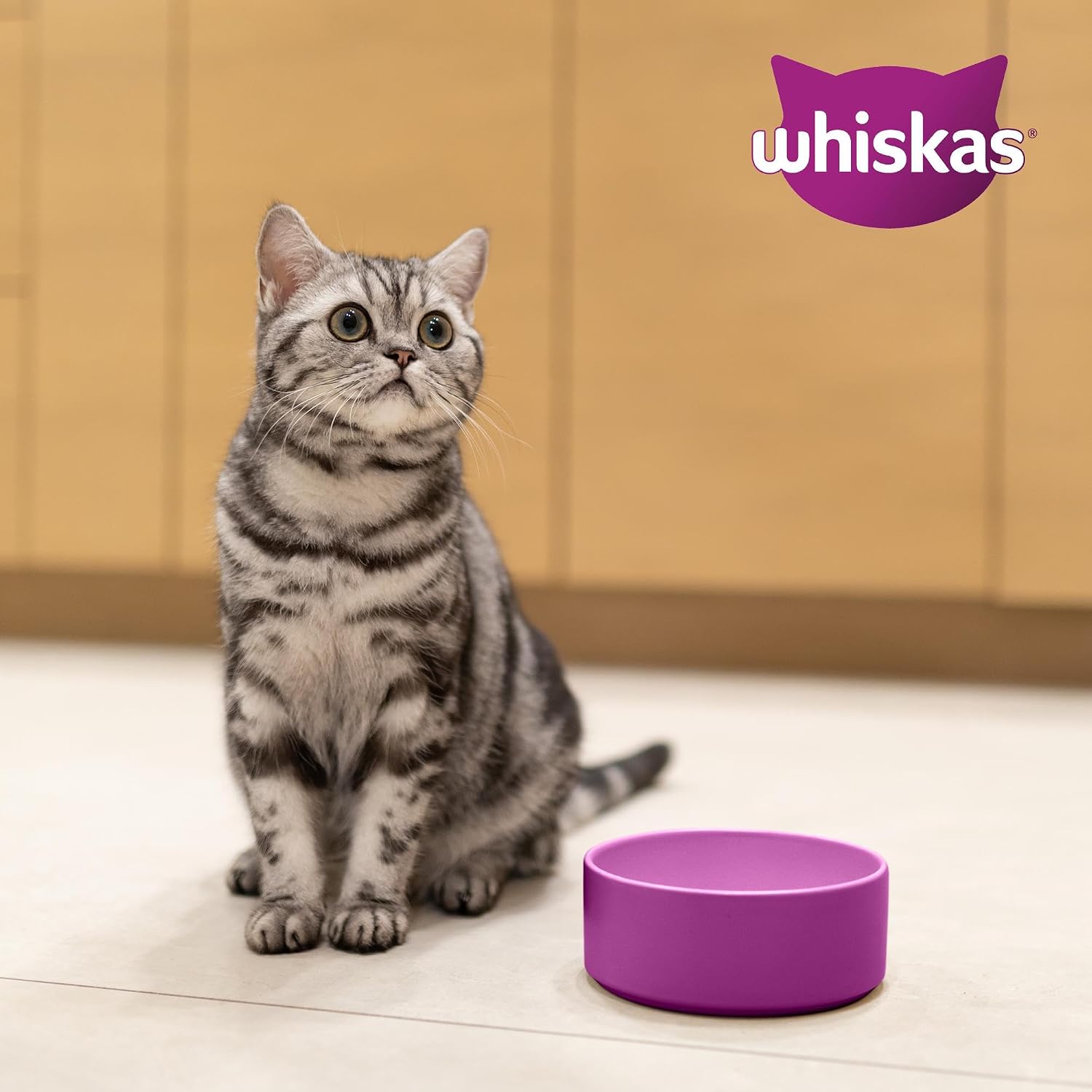 Whiskas Katzen Trockenfutter 3,8kg bis 7kg verschiedene Geschmacksrichtungen