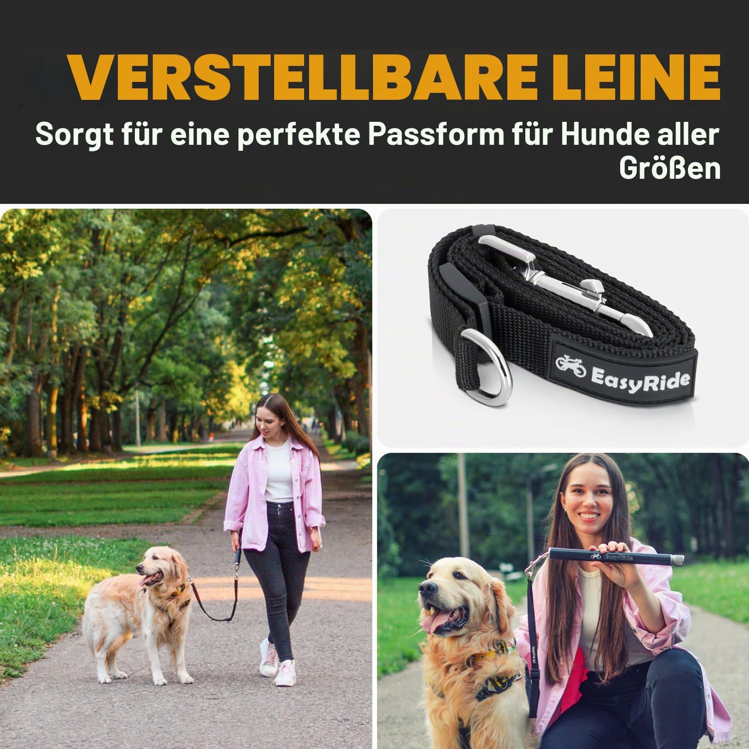 Hunde Fahrrad-Leine mit 180° Drehgelenk und Stossdaempfer, Schwarz