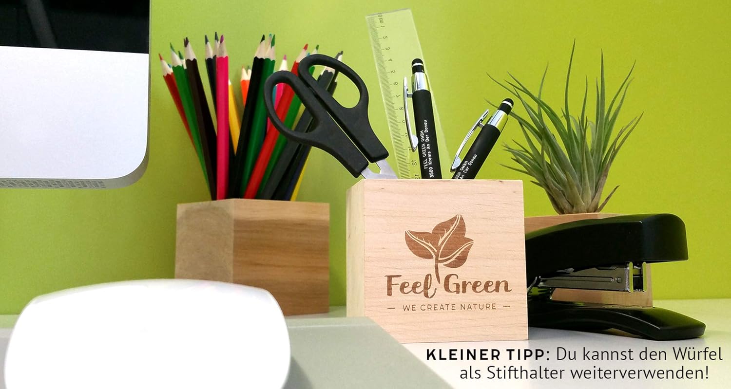 Ecocube Sonnenblume Anzuchtset Holz-Wuerfel mit Samen Geschenkidee