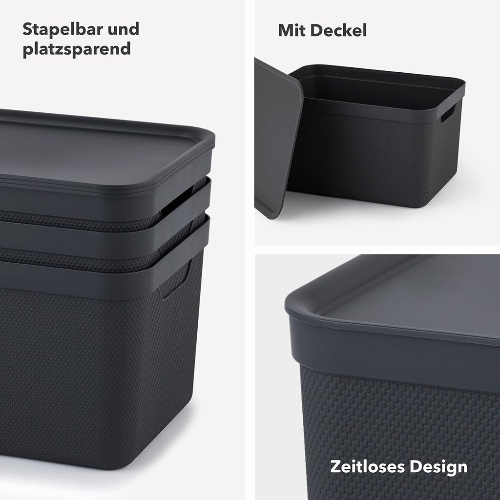 Jive Aufbewahrungsbox 3er Set mit Deckel Kunststoff Gruen Anthrazit