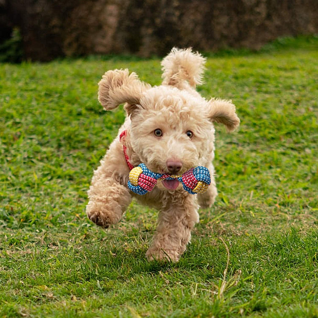 Hundespielzeug Set 7 Teile Kauspielzeug Quietschspielzeug Kuh für Welpen