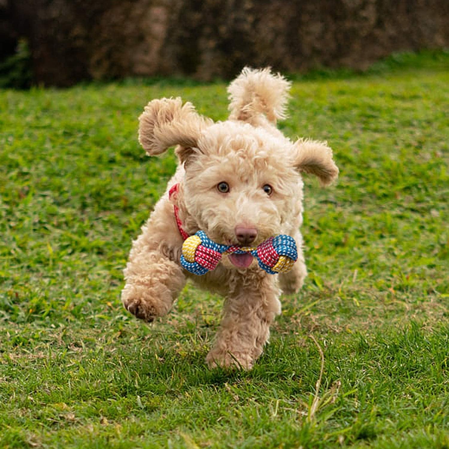 Hundespielzeug Set 7 Teile Kauspielzeug Quietschspielzeug Kuh für Welpen