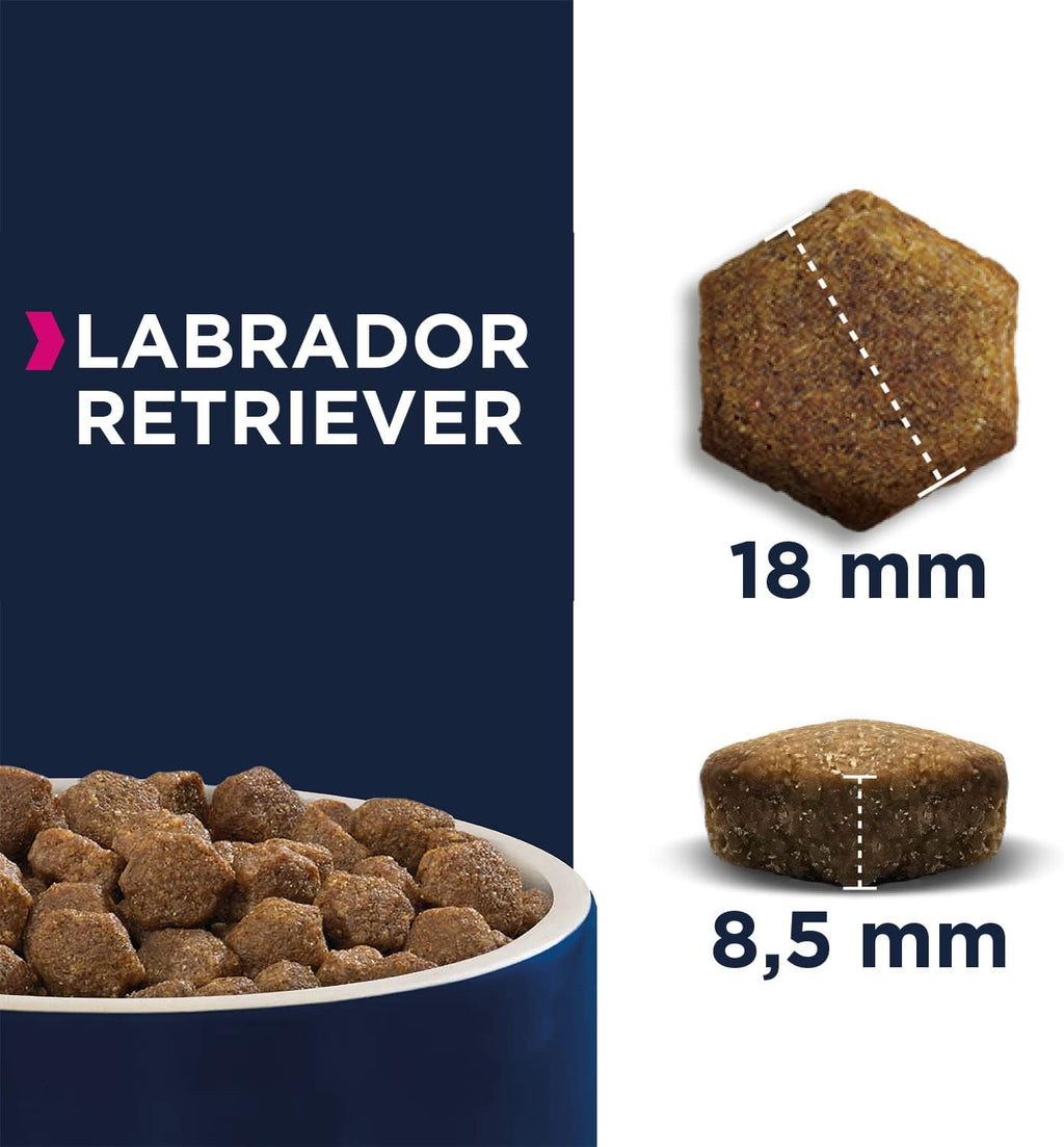 Eukanuba Labrador Retriever Trockenfutter Huhn 12 kg Rassegerecht