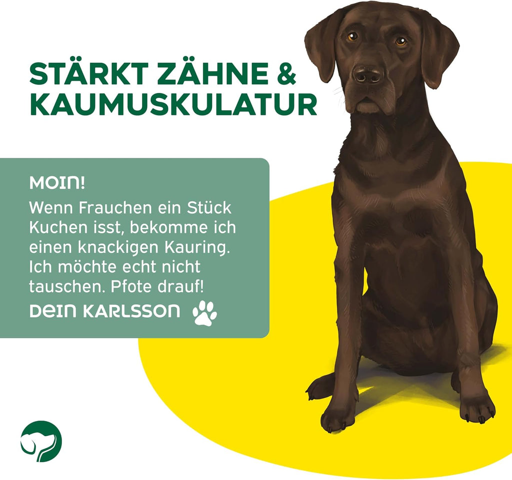 Topdog Chicken Donut Kausnacks für Hunde 10 Stück zuckerfrei zahnpflegend