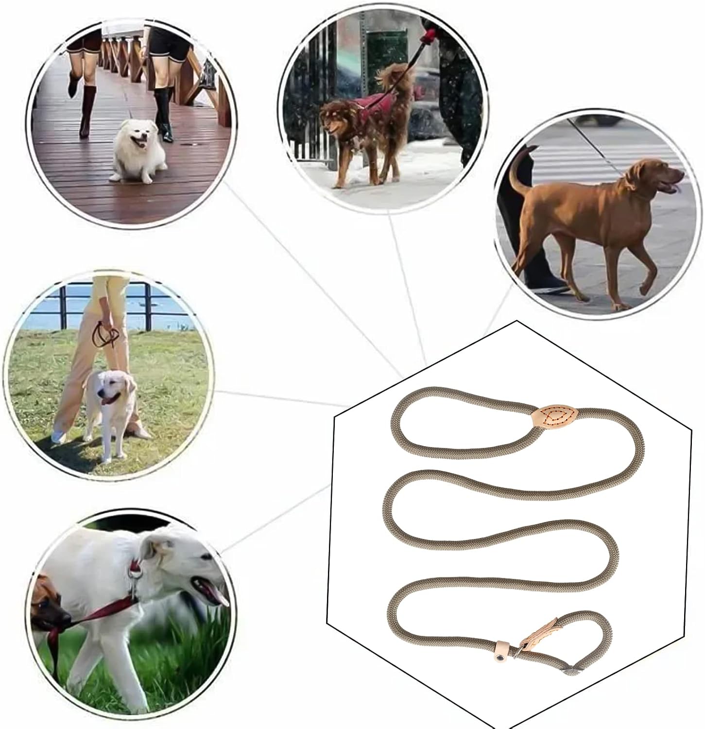 Moxonleine 120 cm geflochten mit Zugstopp und weichem Griff für Hunde