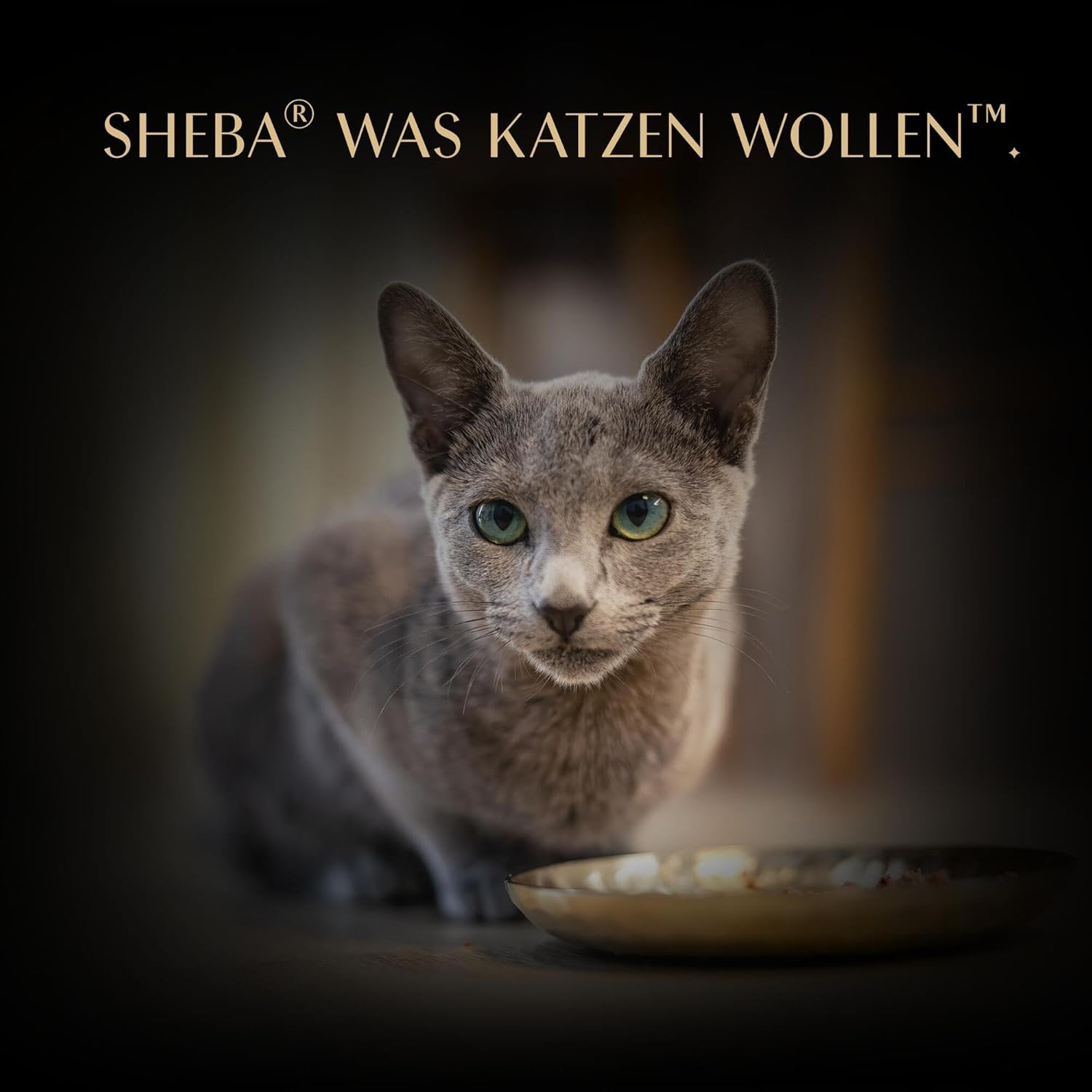 SHEBA Filets in Sauce Katzenfutter 16 x 60 g | Huhn Hochseefisch Garnelen