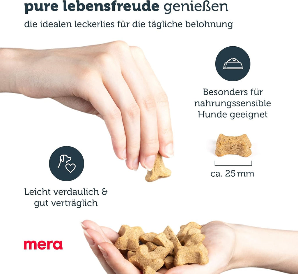 Hunde Leckerli Truthahn mit Kartoffel glutenfrei Trainingssnack