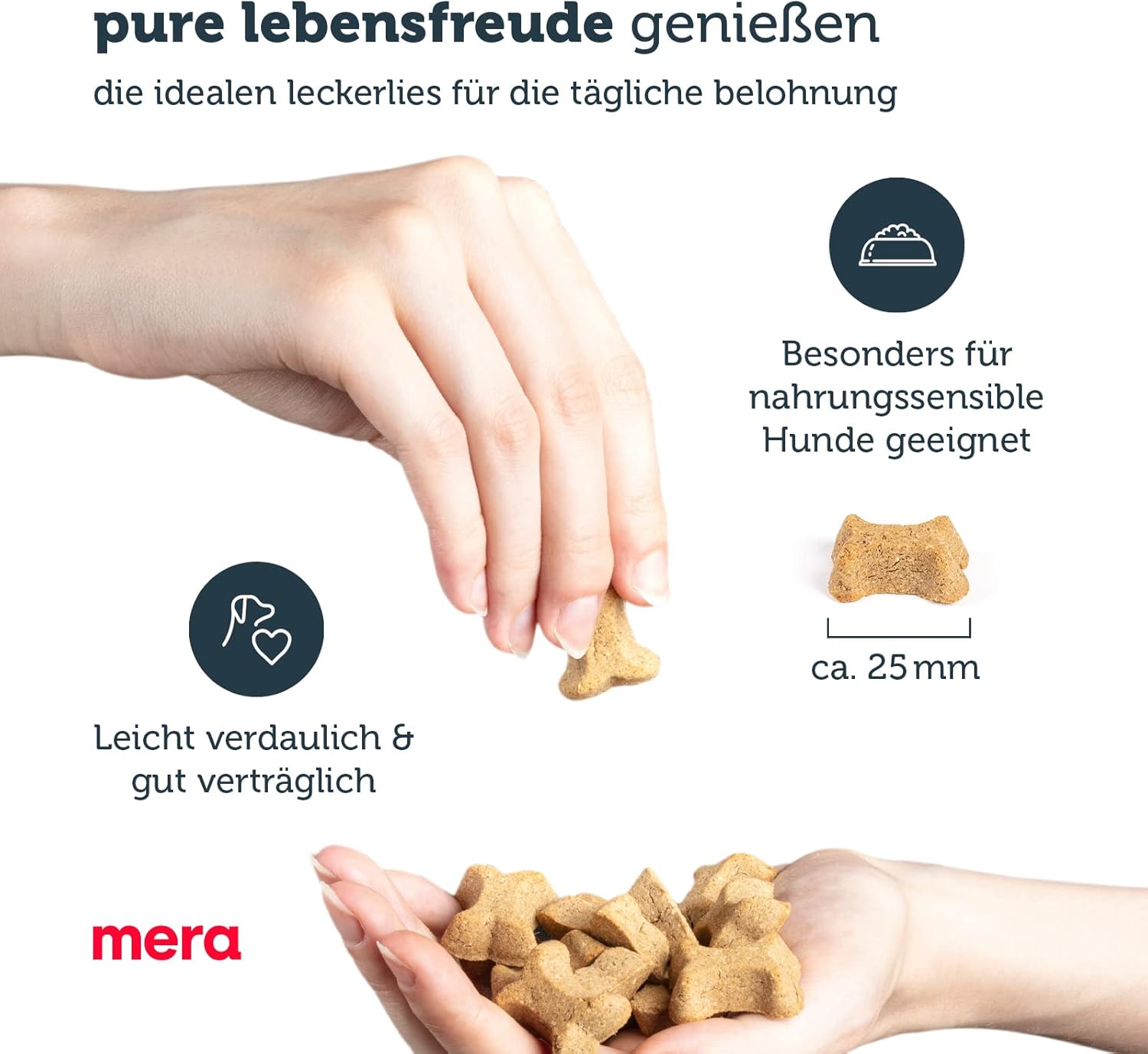 Hunde Leckerli Truthahn mit Kartoffel glutenfrei Trainingssnack