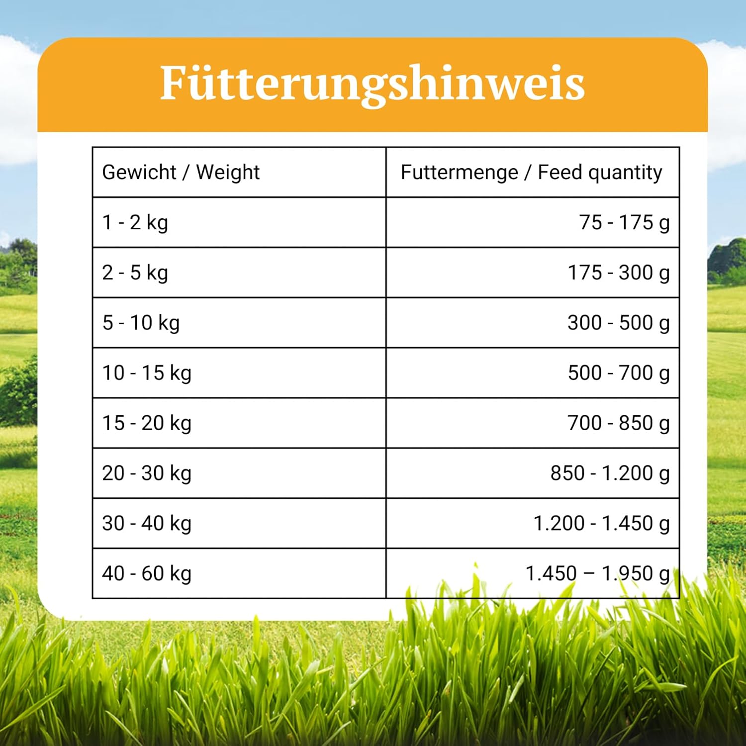Bellfor Hundenassfutter getreidefrei mit Insektenprotein Naturfarm-Menue -800