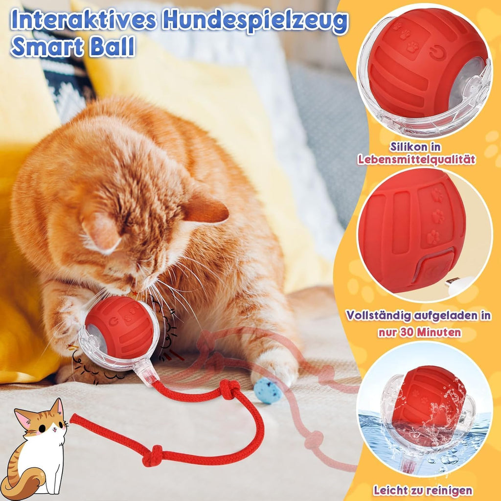 Interaktiver Katzenball elektrisch 360° rollend Katzenspielzeug mit LED