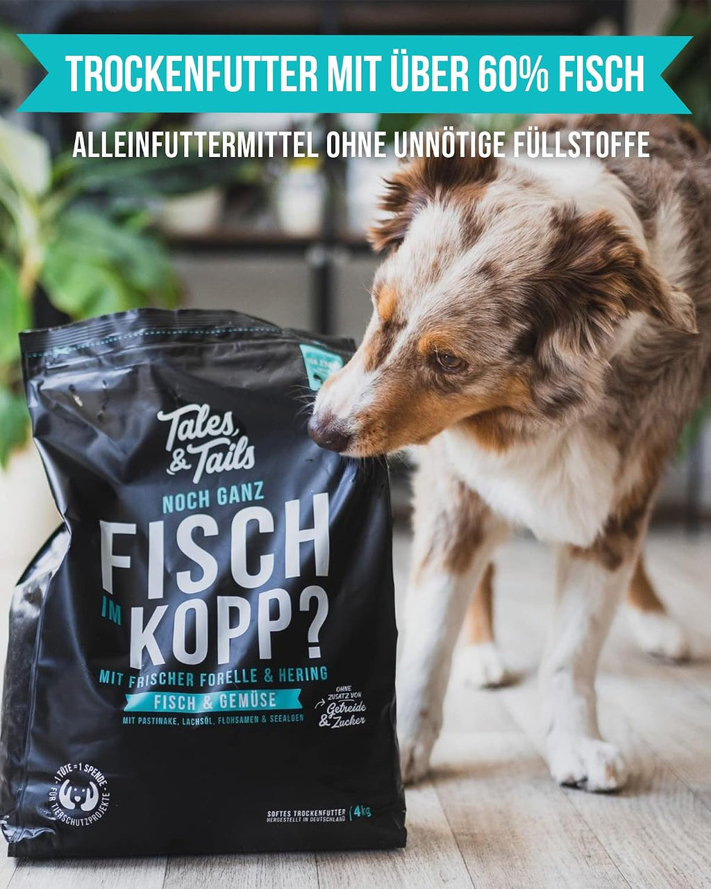 Tales & Tails halbfeuchtes Hundefutter getreidefrei Pferd verschiedene So