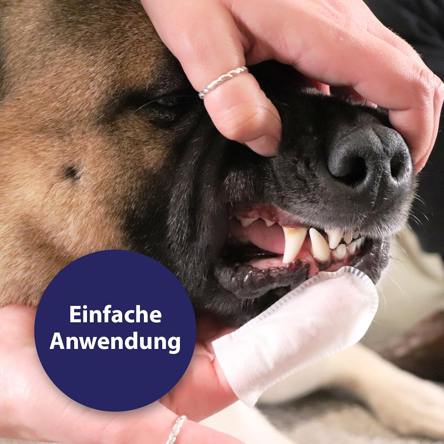 Canosept Zahnpflegespray für Hunde gegen Zahnstein und Mundgeruch