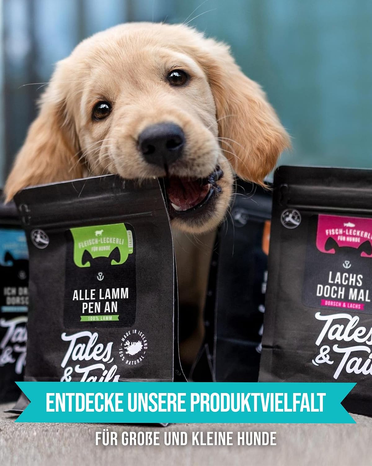 Tales & Tails halbfeuchtes Hundefutter getreidefrei Pferd verschiedene So