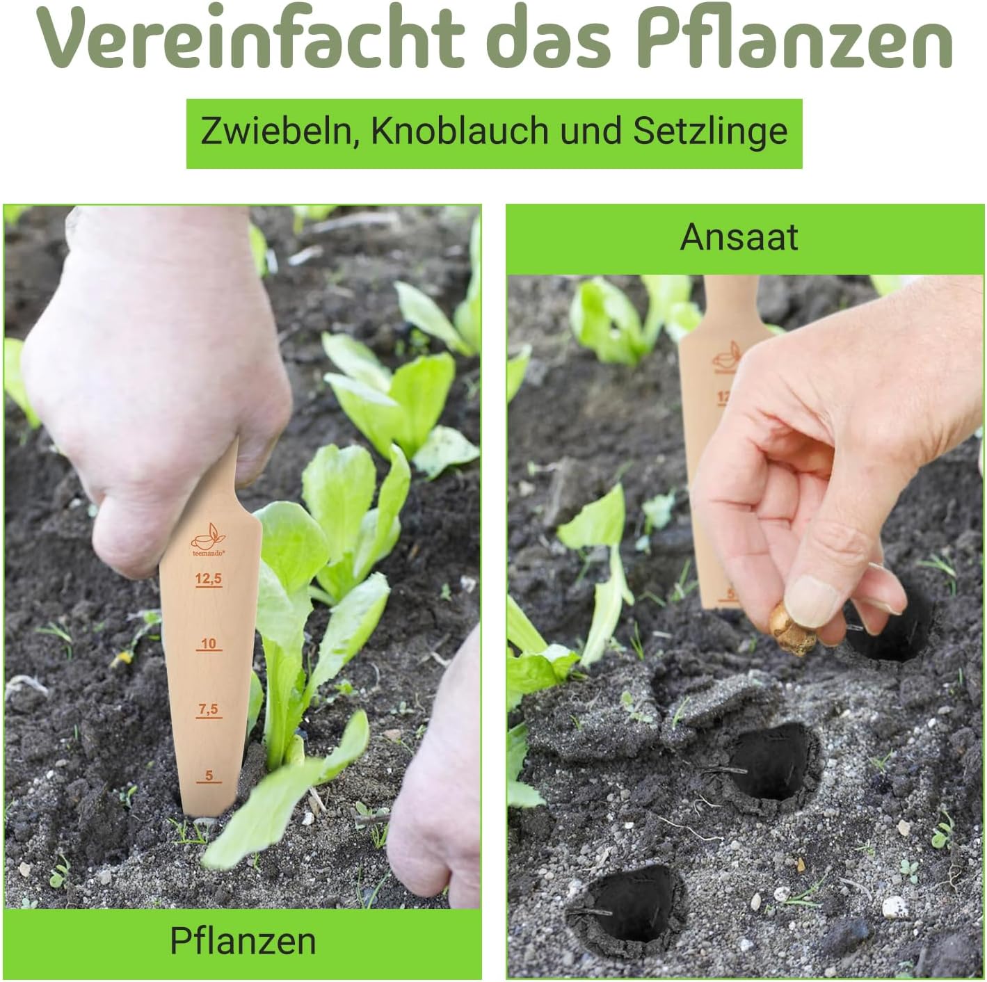 Teemando Marken Pflanzholz aus unbehandeltem Buchenholz 24,5 cm mit Skala