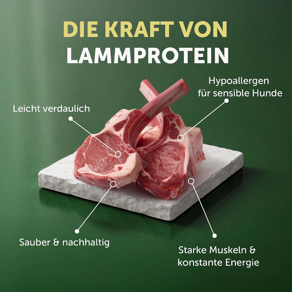 Nature's Protection Superior Care Trockenfutter Lachs getreidefrei ve