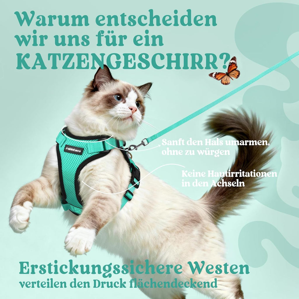 rabbitgoo Katzen Geschirr mit Leine verstellbar reflektierend weich XS Schwarz