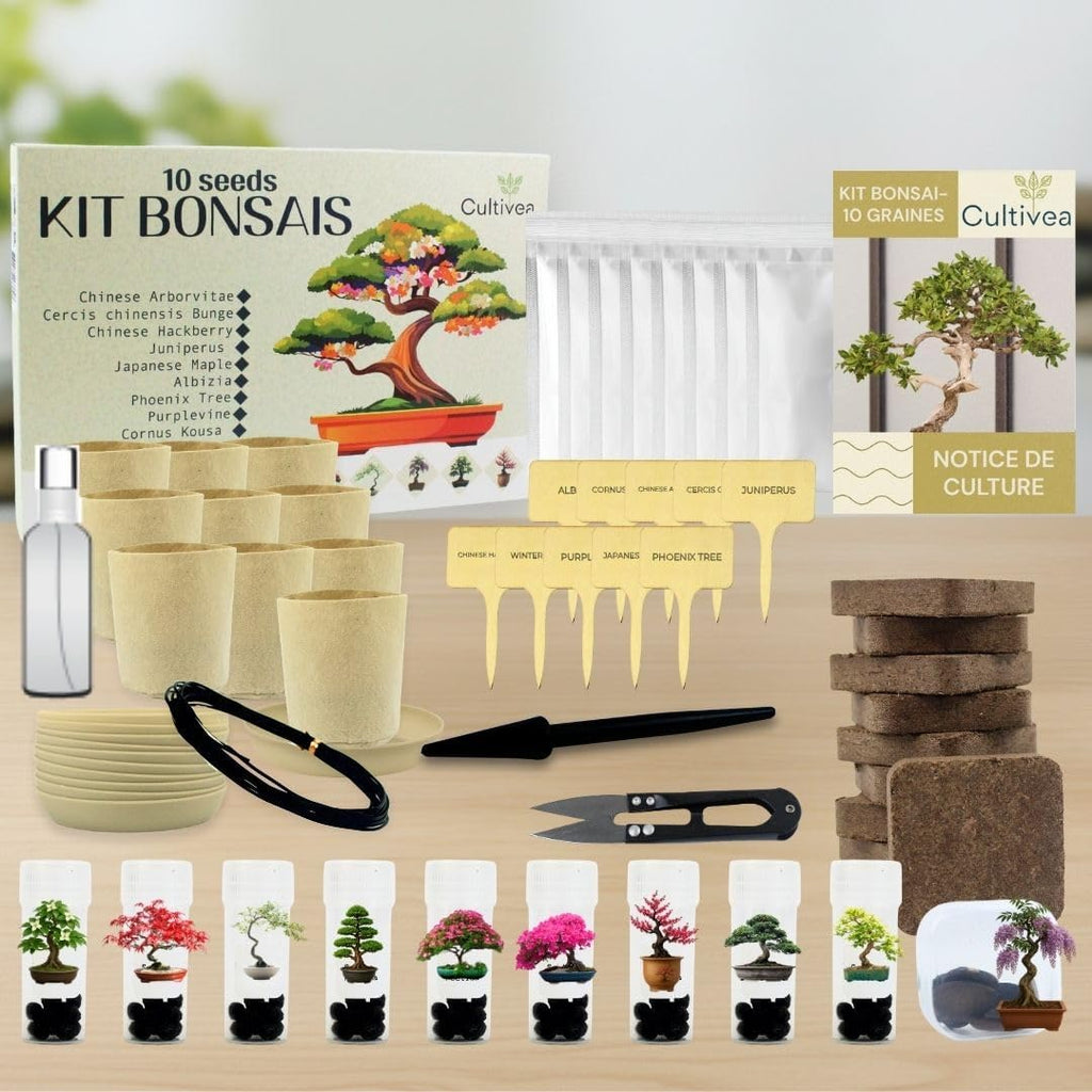 Bonsai Anzuchtset mit Samen fuer 10 Baeume - Komplettes Starter Kit