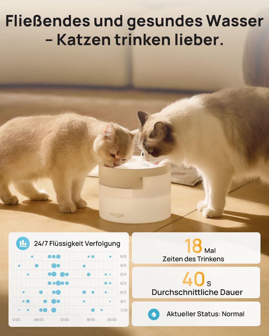 Kabelloser Katzenbrunnen mit App, Bewegungsmelder, 96 Tage Akku, WLAN