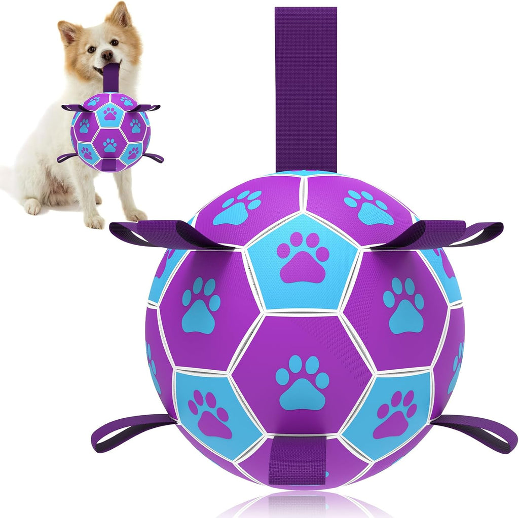 HETOO Hundeball 6" mit Griff fuer mittlere und grosse Hunde M-L lila/blau