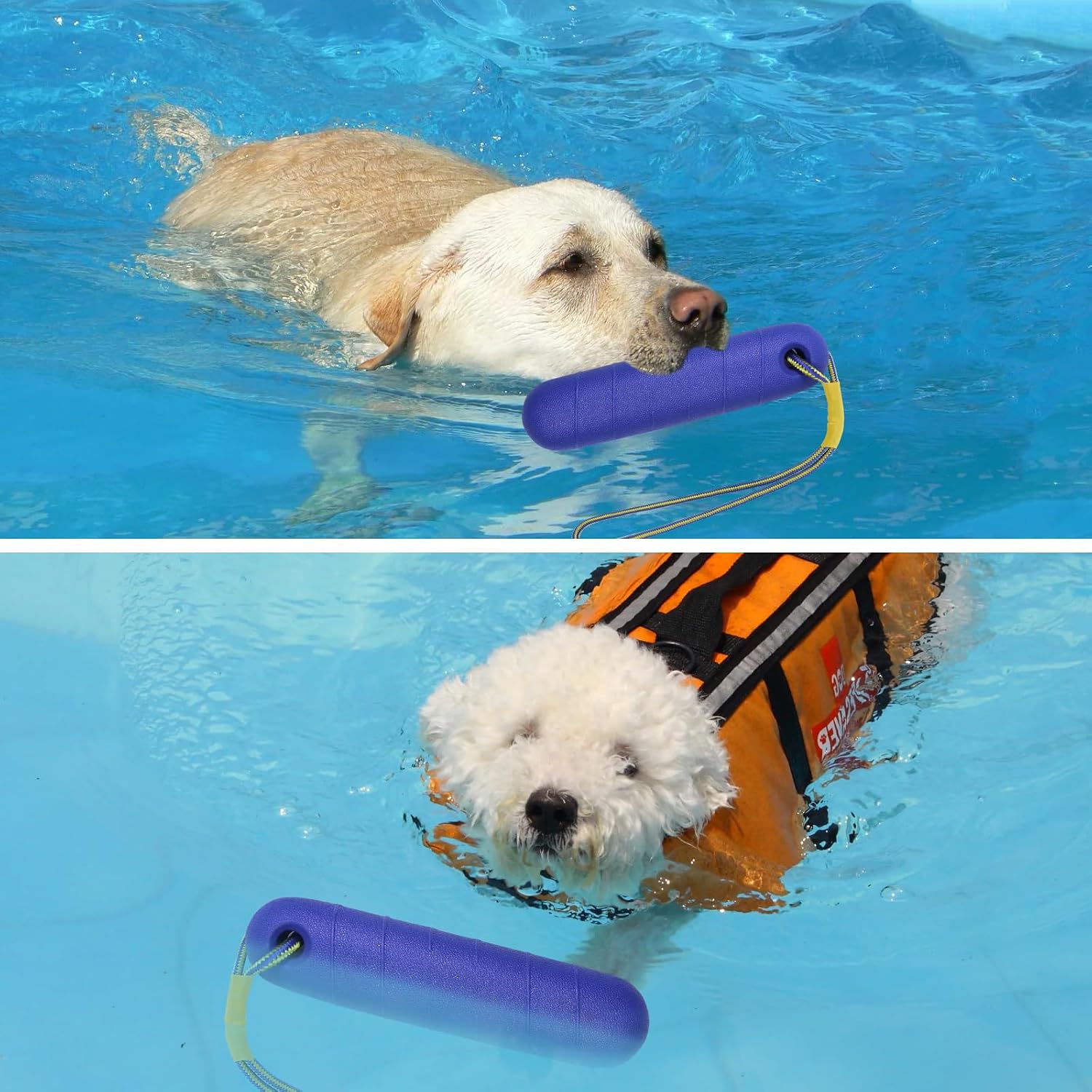 Schwimmendes Hundespielzeug mit Nylonseil fuer Apportieren Training Mittelgross Gr