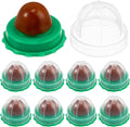 PRETYZOOM Katzenminze Leckstein Ball 10 Stueck Fisch Unterstuetzt Harnfunktion