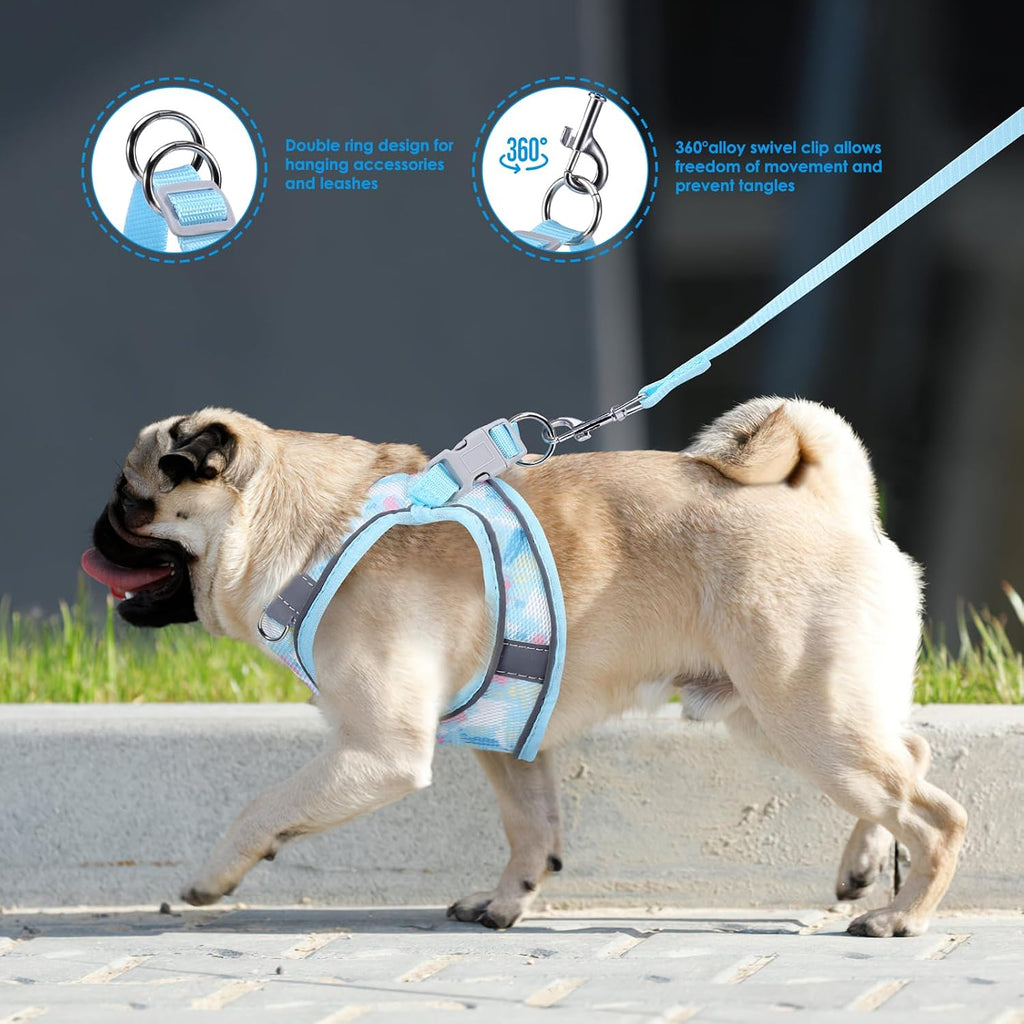 Brifit Katzengeschirr verstellbar XXS Blau mit 150 cm Leine, reflektierend