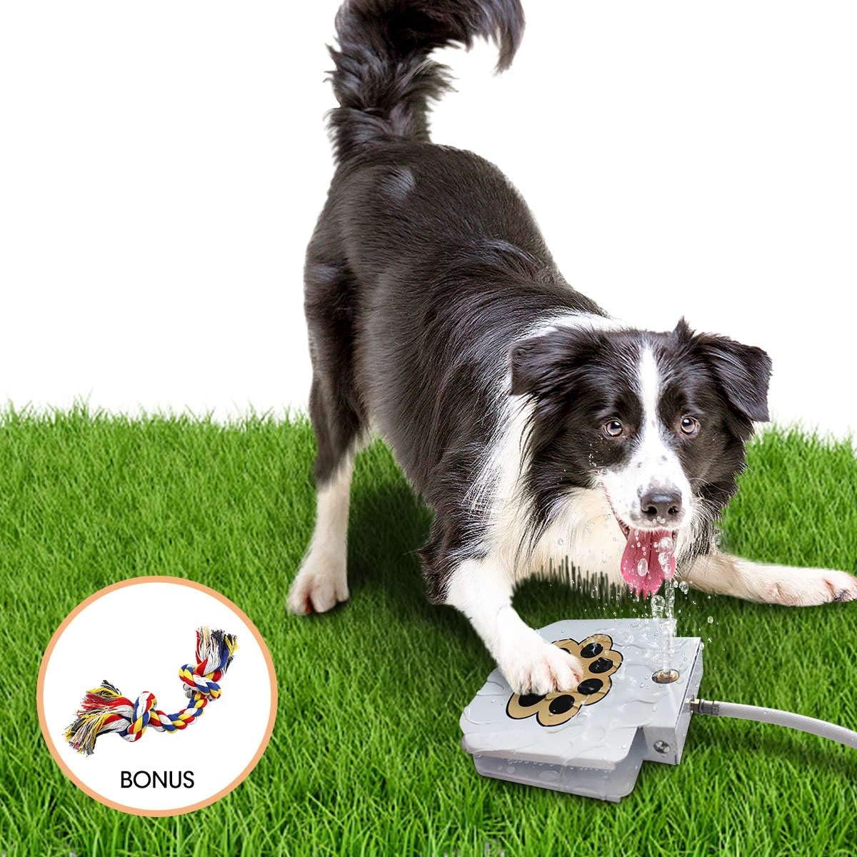 BACOENG Hundetrinkbrunnen Outdoor Gartenbrunnen mit verbessertem Messing-Ventil
