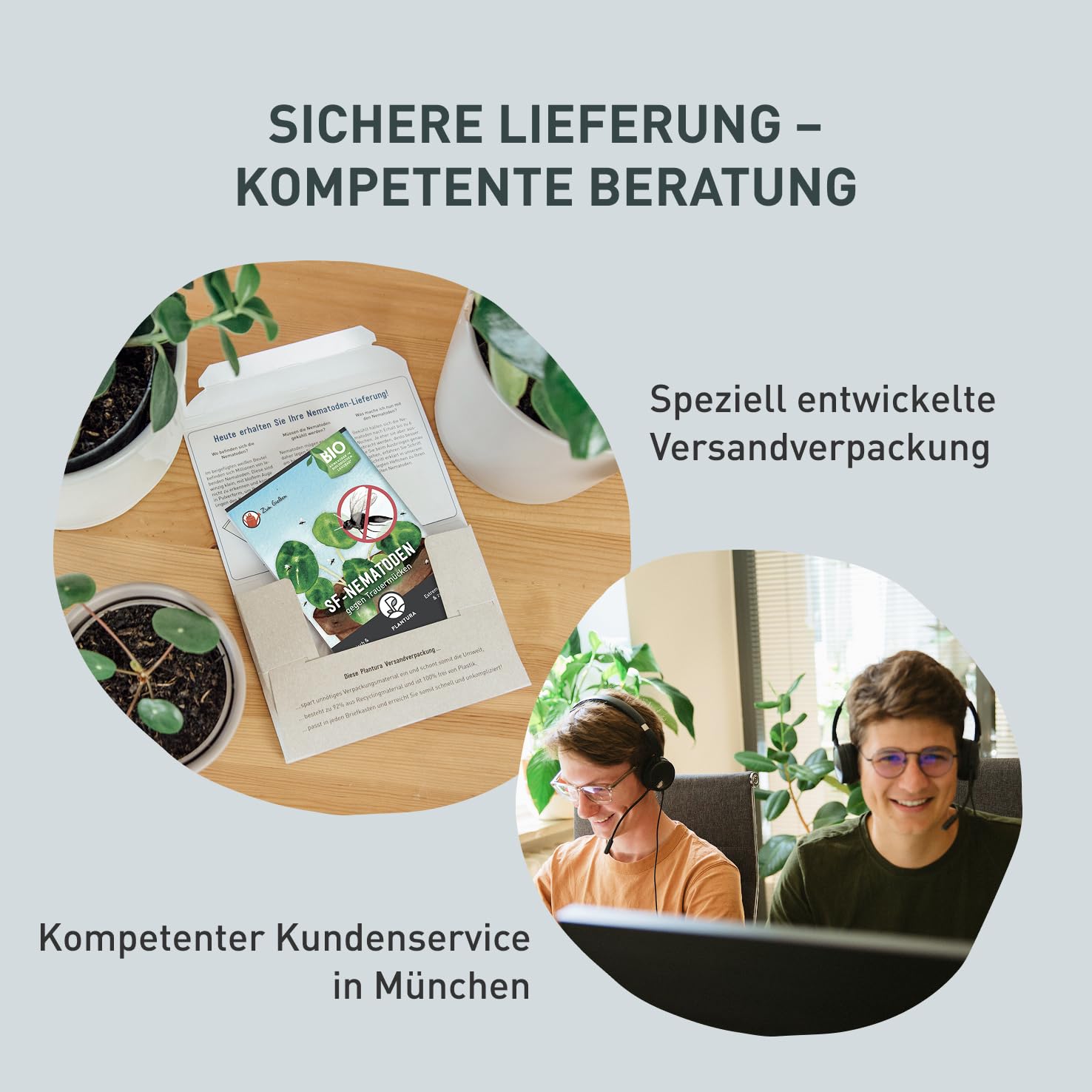 Plantura Nematoden gegen Trauermuecken zum Giessen 5 Mio fuer 5 m² (ca. 50 Pflanzen