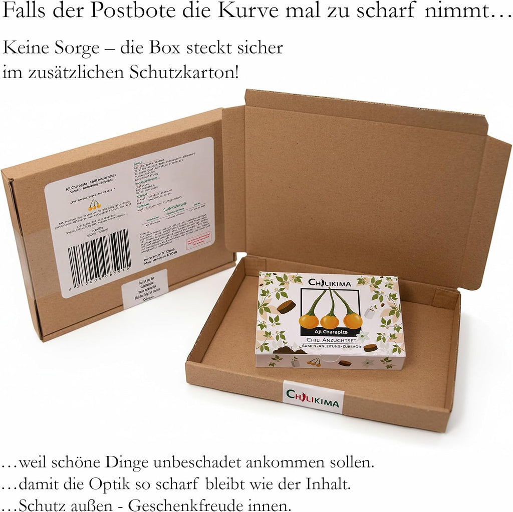 Aji Charapita Chilisamen Anzuchtset Starter Kit Chili Pflanzen ziehen
