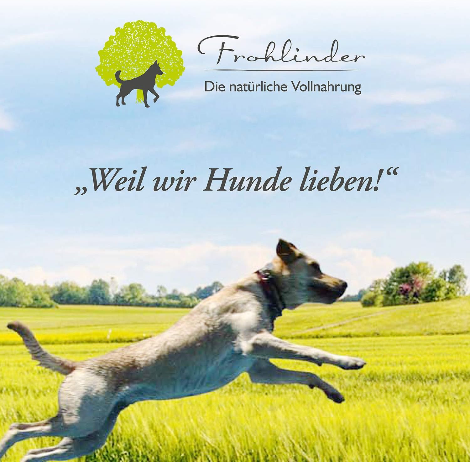 Frohlinder Hundewurst Klassik Vollnahrung fuer Hunde Welpen