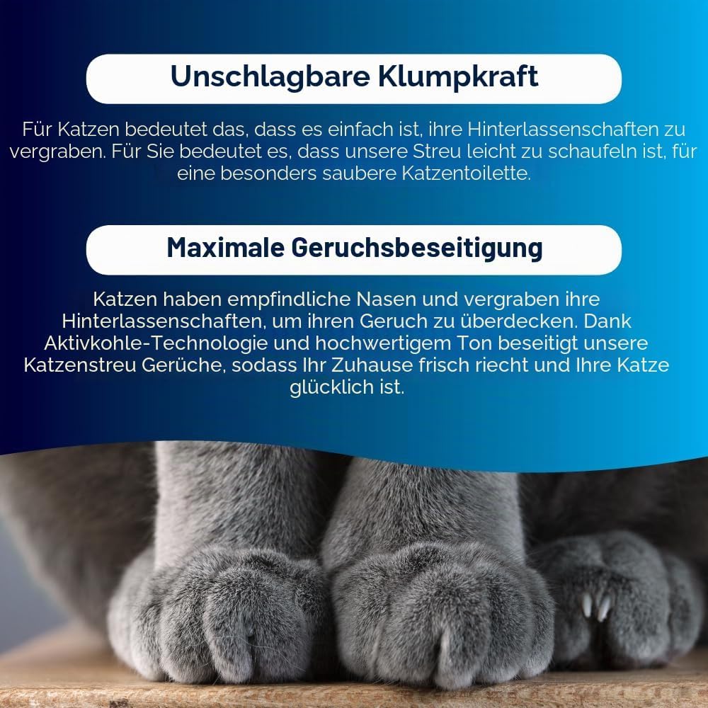 Ever Clean Katzenstreu 10 L extrastark mit Duftstoffen verschiedene Sorten