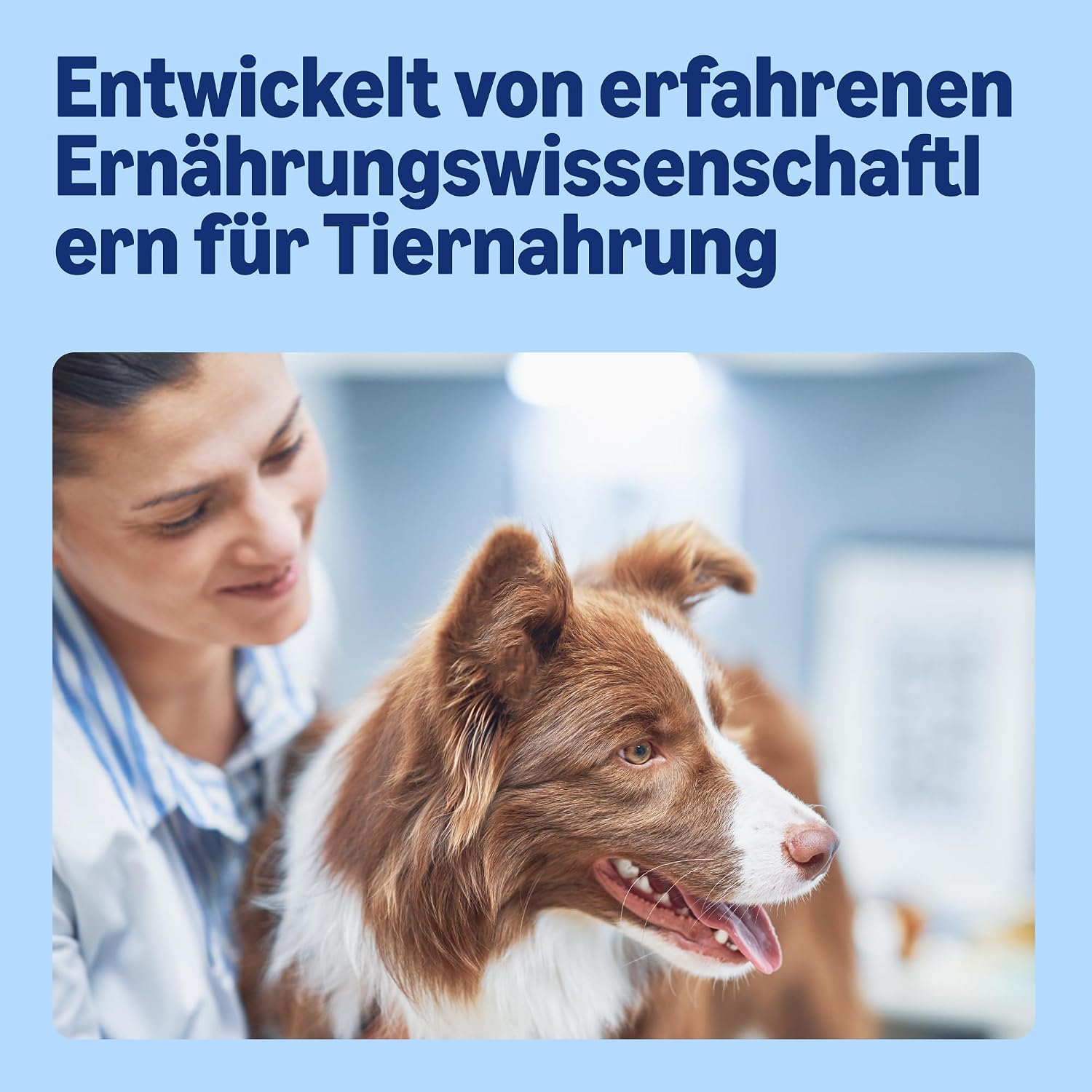 Hundefutter nass Rind in Dosen verschiedene Sorten