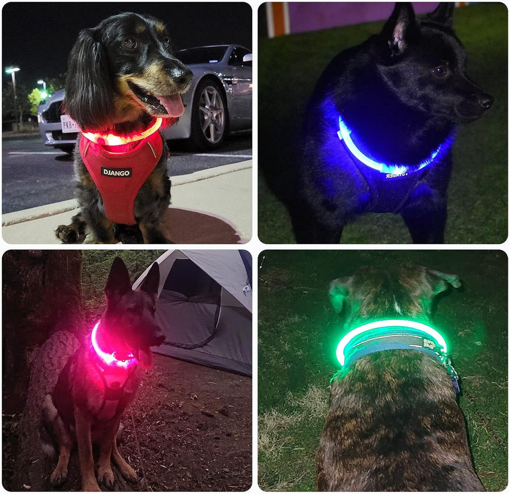 Nepfaivy LED Leuchthalsband Hund USB aufladbar wasserdicht 3 Modi Gruen